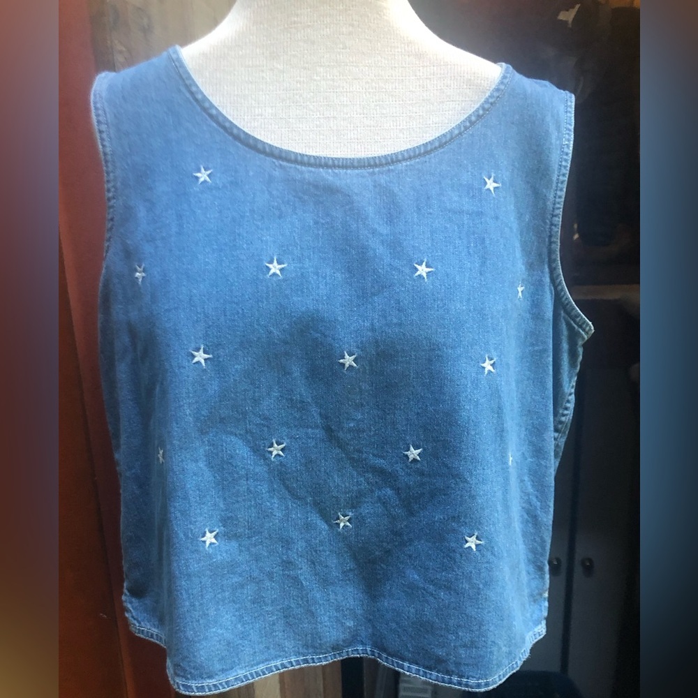 Great Vintage Lizwear denim and stars top!